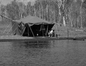 The distant weigh and release tent allowed anglers fishing up the top of the lake to get their barra or bass back for weigh in and release without risking them dying.
